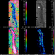 “At top right is a backscattered electron image (the long thin dark object is opal). At bottom left is an image of silica concentrations in opal and surrounding meteoritic minerals. At top left is an image of oxygen concentrations in opal and surrounding minerals. At bottom right is an image nickel concentrations in opal and surrounding minerals.” (Image: Hilary Downes)